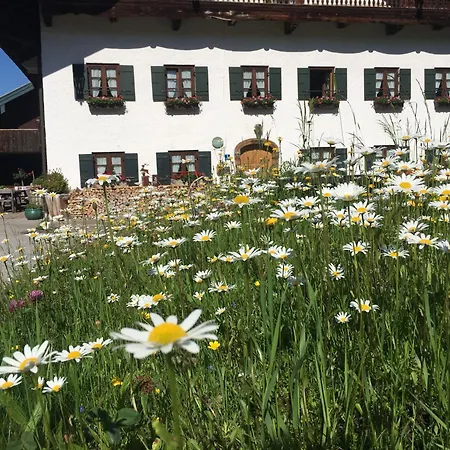 Bauernhof Stadlerhof *
