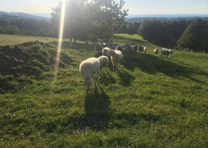 Stadlerhof Gospodarstwo agroturystyczne *